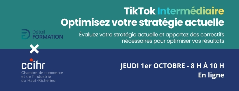 TikTok niveau intermédiaire formation virtuelle